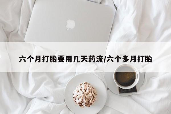 admin 第329页