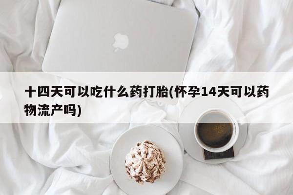 米非米索微信十四天可以吃什么药打胎(怀孕14天可以药物流产吗)